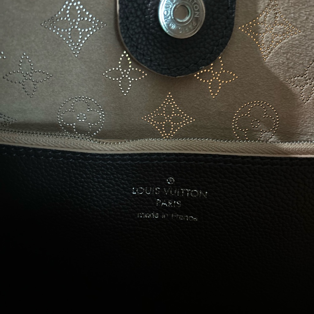 Louis Vuitton Carmel Hobo in Chocolate